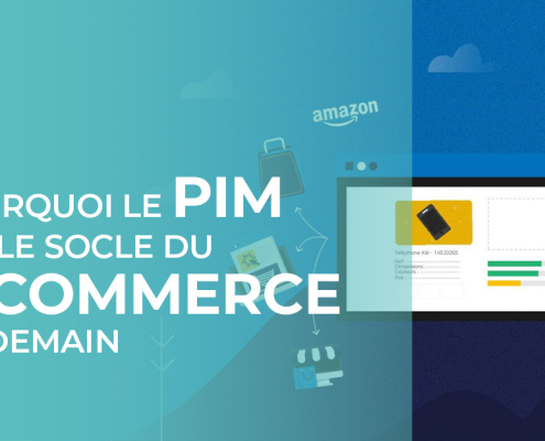 Pim et e-commerce